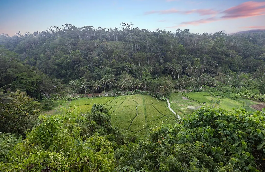 Black Penny Villas Ubud-1