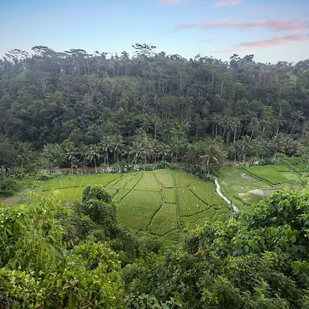 Black Penny Villas Ubud-3